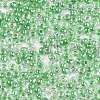 12/0 Glass Seed Beads X1-SEED-A015-2mm-2207-2