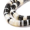 Natural Trochid Shell Beads Strands SSHEL-G023-02A-04-3