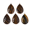 Natural Tiger Eye Pendants G-N326-108A-1