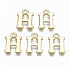 Alloy Charms PALLOY-Q441-025H-NR-1