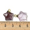 Natural Amethyst Pendants G-P540-01G-10-3