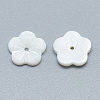 Freshwater Shell Beads SHEL-S275-032-2