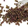 TOHO 6/0 Round Beads SEED-TR06-0514-1