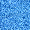 11/0 Czech Opaque Glass Seed Beads SEED-N004-003B-17-4