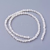 Natural Shell Beads Strands X-SSHEL-E571-39-4mm-2