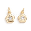 Brass Micro Pave Cubic Zirconia Pendants X-ZIRC-G165-06G-1