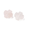 Natural Rose Quartz Beads G-K369-04E-2