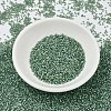 MIYUKI Delica Beads SEED-JP0008-DB2190-2