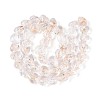 Handmade Foil Glass Beads FOIL-N029-09A-6