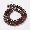 Natural Bronzite Beads Strands G-D169-01-10mm-1