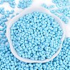 Baking Paint Glass Seed Beads SEED-K010-A20-3