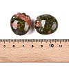 Natural Unakite Footprint Figurines DJEW-N003-02E-3