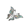 Butterfly Abalone Shell/Paua Shell Brooch Pins PW-WG1F80C-01-3