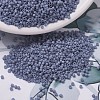 MIYUKI Delica Beads SEED-JP0008-DB0799-1