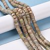 Natural Unakite Beads Strands G-C240-05-2