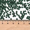 MIYUKI Round Rocailles Beads SEED-X0055-RR0156-4