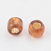 8/0 Glass Seed Beads X2-SEED-A005-3mm-53-2
