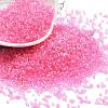 Transparent Colours Glass Seed Beads SEED-H003-01F-1