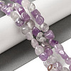 Natural Amethyst Beads Strands G-B078-D12-01-2