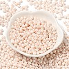 6/0 Glass Seed Beads SEED-M012-01A-09-2