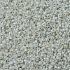 MIYUKI Round Rocailles Beads SEED-X0054-RR2353-2