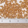 MIYUKI Delica Beads SEED-X0054-DB1778-4