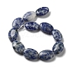 Natural Blue Spot Jasper Beads Strands G-P528-M26-01-3