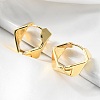 Brass Hoop Earrings EJEW-S249-06G-2