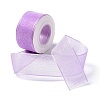 10 Yards Polyester Chiffon Ribbon OCOR-C004-03C-1