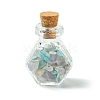 4Pcs Glass Wishing Bottle Decorations PALLOY-JF03100-2