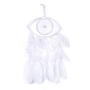 Handmade Eye Woven Net/Web with Feather Wall Hanging Decoration HJEW-K035-01-1