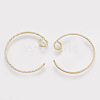 Brass Earring Hooks KK-S348-038-1