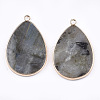 Natural Labradorite Pendants G-T112-22A-2