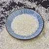MIYUKI Delica Beads X-SEED-J020-DB0672-2