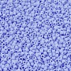 MIYUKI Delica Beads X-SEED-J020-DB1587-3
