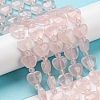 Natural Rose Quartz Beads Strands G-C062-A07-01-2