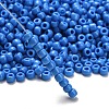 TOHO 6/0 Round Beads SEED-XTR06-0043D-2