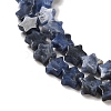 Natural Sodalite Beads Strands G-G085-B18-02-3