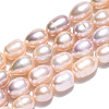 Natural Cultured Freshwater Pearl Beads Strands PEAR-N012-08L-4