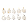 10Pcs 2 Colors Plastic Pearl Charms PALLOY-JF04027-1