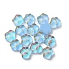 Cat Paw Print Resin Cabochons FIND-CJC0015-21A-2