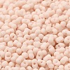 Glass Frosted Seed Beads SEED-K009-05B-07-3