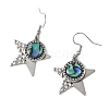 Paua Shell and 304 Stainless Steel Dangle Earrings EJEW-JE07471-4