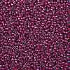 TOHO Round Seed Beads X-SEED-TR08-0304-2
