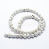 Natural Magnesite Beads Strands G-I199-27-12mm-2