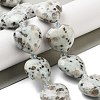 Natural Sesame Jasper Beads Strands G-C150-A20-01-1