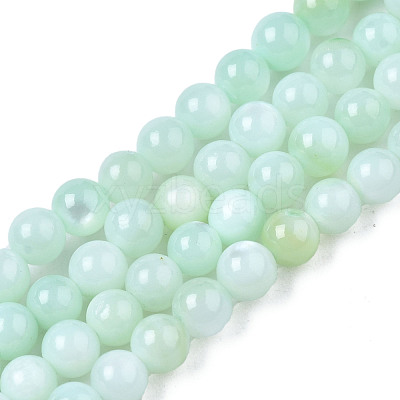 Natural Freshwater Shell Beads Strands BSHE-T009A-01D-1