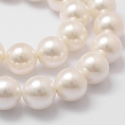 Shell Pearl Bead Strands X-BSHE-L026-03-14mm-1