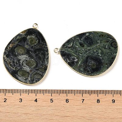 Natural Kambaba Jasper Pendants G-K347-02G-01-1