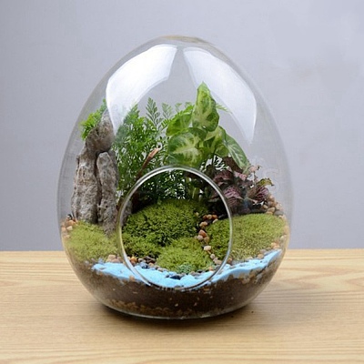 Egg-Shaped Glass Vase PW-WG75554-02-1